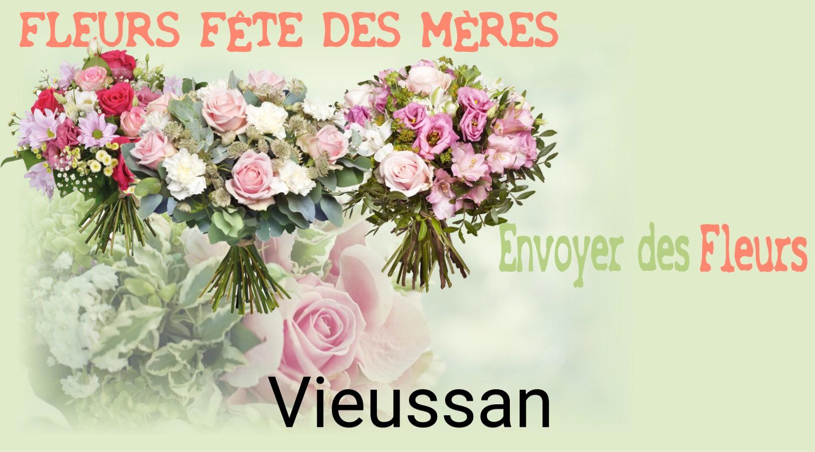 Bouquet de Fête des Mères livré à Vieussan